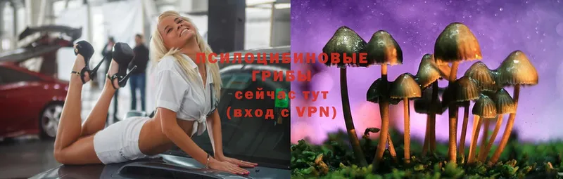 Псилоцибиновые грибы Psilocybe  купить   mega ТОР  Ангарск 